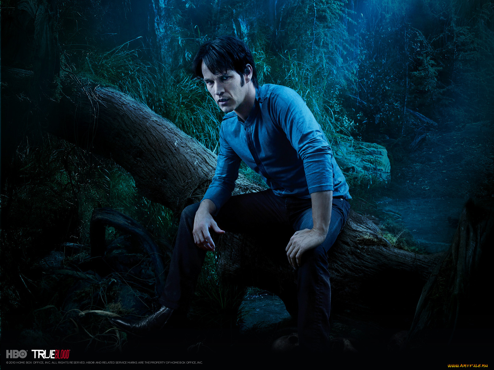 true, blood, , 